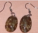 Sea Shell Earrings