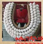 Sea Shell Costume Jewelry Necklaces Bali